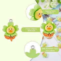 Подвески из непрозрачной смолы 60 шт.&nbsp;RESI-DC0001-15