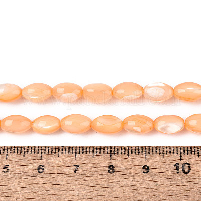 Нити бусин из натуральной ракушки трохус&nbsp;SHEL-K006-19-01G-1