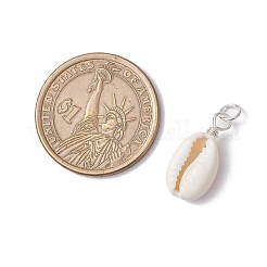 Подвески из натуральной каури&nbsp;PALLOY-JF03710-01