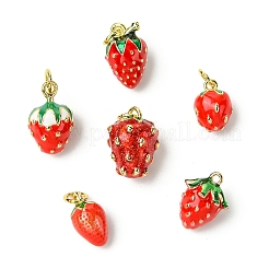 6 шт. 6 стиля латунных эмалевых подвесок&nbsp;KK-CJ0003-69