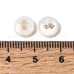 Натуральные пресноводные раковины&nbsp;SHEL-C009-01C