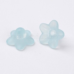 Прозрачные акриловые бусины&nbsp;X-PL554-11