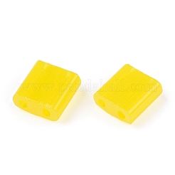 2-дырочные стекло бисер&nbsp;SEED-T003-01C-11