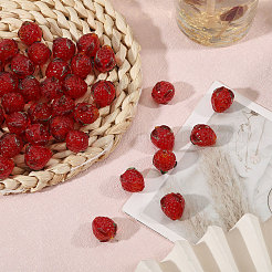 50шт ручной работы бусины лэмпворк&nbsp;LAMP-CA0001-17