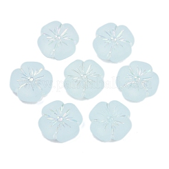 Матовые прозрачные акриловые бусины&nbsp;OACR-P029-19B-06