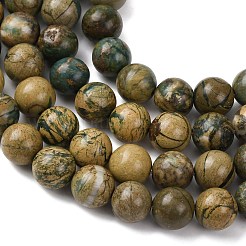 Натуральные зеленые бусины с прожилками дракона&nbsp;G-D098-A01-10mm