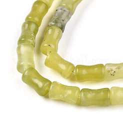 Природного нефрита Xiuyan бисер нитей&nbsp;G-T140-89