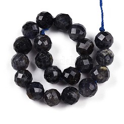 Натуральные кордиерит / иолит / дихроитовые бусины&nbsp;G-S345-10mm-27