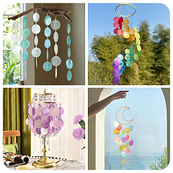 50 шт. окрашенные натуральные подвески-соединители из ракушек Capiz&nbsp;BSHE-TA0001-20D