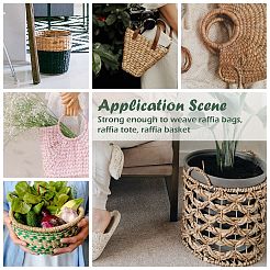 Лента из рафии&nbsp;SENE-PW0003-104I