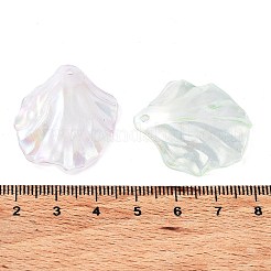 Акриловые прозрачные подвески с цветным покрытием ab&nbsp;OACR-Z013-25A