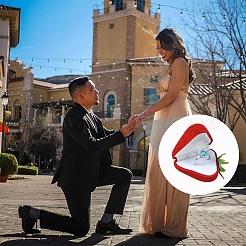 Клубничное флокирование шкатулки для колец&nbsp;CON-YWC0001-16A