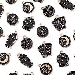 30шт 6 стиля подвески из сплава с эмалью&nbsp;ENAM-FS0002-62