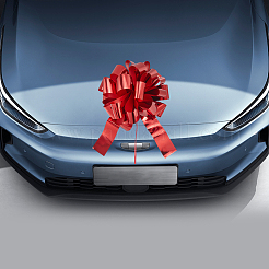 Пластиковые банты для цветов&nbsp;FIND-WH20030-06H