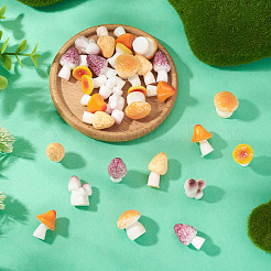 30 шт. 6 стиля серии грибов смоляные украшения для витрины&nbsp;DJEW-TA0001-21