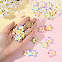 28 шт. подвески из непрозрачной смолы&nbsp;FIND-SC0019-45