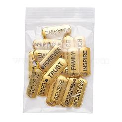 18шт 18 стиля прямоугольные подвески из сплава в тибетском стиле&nbsp;TIBEP-YW0001-34AG