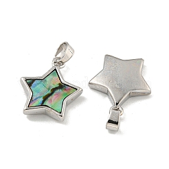 Природные пауа оболочки подвески&nbsp;KK-A214-14P