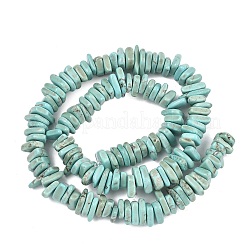 Природные Говлит бисер нитей&nbsp;G-A302-A01-03