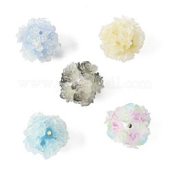 10шт 10 цвета бусины из смолы&nbsp;RESI-FS0002-24A