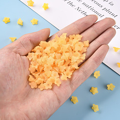 Прозрачные акриловые бусины&nbsp;X-PL554-07