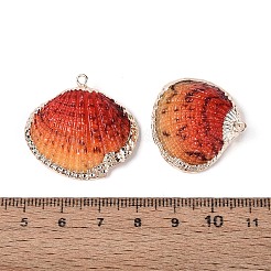 Подвески с краской и гальваникой из натуральных морских раковин&nbsp;SSHEL-N042-16E