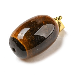 Природных тигровый глаз подвески&nbsp;LS-G-D094-05A-G