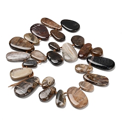 Природные окаменелое дерево бисер пряди G-C253-06