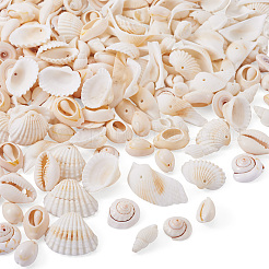 Наборы для самостоятельного изготовления украшений из натуральных ракушек&nbsp;DIY-BT0001-37
