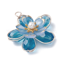 Стеклянные подвески&nbsp;PALLOY-TA00319-03