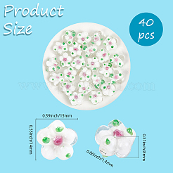 40шт ручной работы бусины лэмпворк&nbsp;LAMP-PA0001-11A