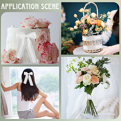 Полиэфирная лента&nbsp;OCOR-WH20013-005B