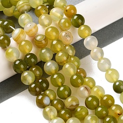 Натуральные полосатые агатовые / полосатые агатовые бусинки&nbsp;G-Z060-A01-B02