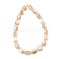 Нити бусин из натуральных трохоидных/трохус ракушек&nbsp;BSHE-A002-01B