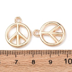 Пластмассовые подвески ccb&nbsp;CCB-I006-08KCG