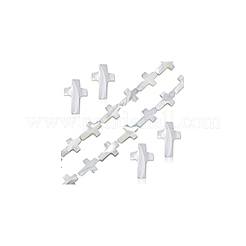 1 нить натуральных бусин из ракушек трохид/трохус&nbsp;SSHEL-GA0001-17