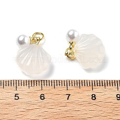 Подвески в форме ракушек из натурального агата&nbsp;LS-G-U025-06G