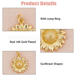 12шт латунные подвески&nbsp;KK-HS0015-35