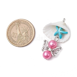 12 шт. подвески из ракушек&nbsp;PALLOY-JF03695-02