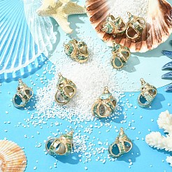 5 шт. подвески из натуральной морской ракушки&nbsp;SSHEL-YW0001-11