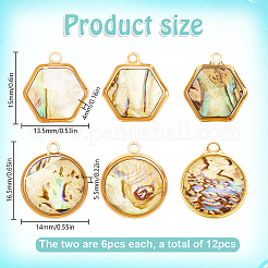 12 шт. 2 стиля плоские круглые шестиугольные подвески из натуральной ракушки пауа&nbsp;KK-DR0001-41A