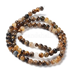 Естественный желтый тигровый глаз бисер нитей&nbsp;G-H238-4mm