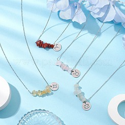 12 шт. 12 стиля ожерелья с подвесками из натуральных драгоценных камней и созвездий&nbsp;NJEW-JN05084