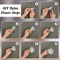 24 шт. нейлоновые шелковые носки для женщин&nbsp;AJEW-FG0005-18A