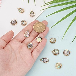 12 шт. 3 стиля подвески из натуральной смолы из ракушек пауа&nbsp;KK-GO0001-82