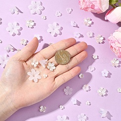 500 шт. 10 стиля колпачков для бусин из АБС-пластика и акрила с имитацией жемчуга&nbsp;OACR-YW0004-12