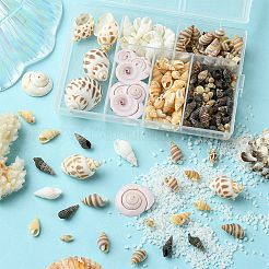 Натуральные спиральные бусы из ракушек&nbsp;SSHEL-YW0001-02