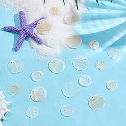 150 шт. 3 стиля натуральные подвески-диски в виде ракушек Capiz&nbsp;SHEL-ME0001-02