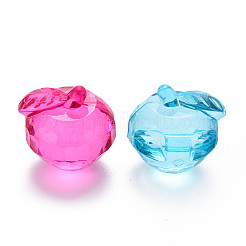 Прозрачные акриловые подвески&nbsp;TACR-T024-05B