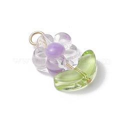 Прозрачные акриловые подвески&nbsp;PALLOY-JF03713-02